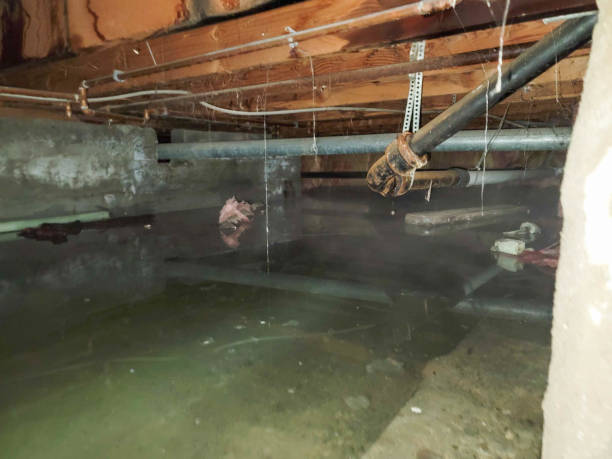 Best Professional water damage repair  in Tuckerton, NJ