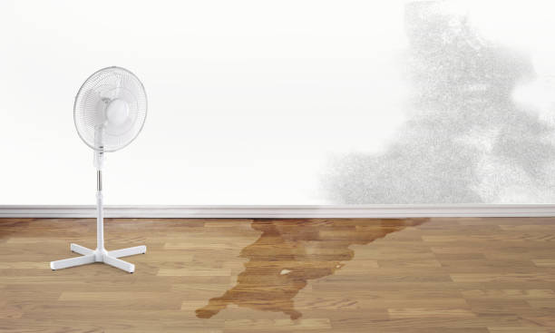 Best Water damage contractors near me  in Tuckerton, NJ