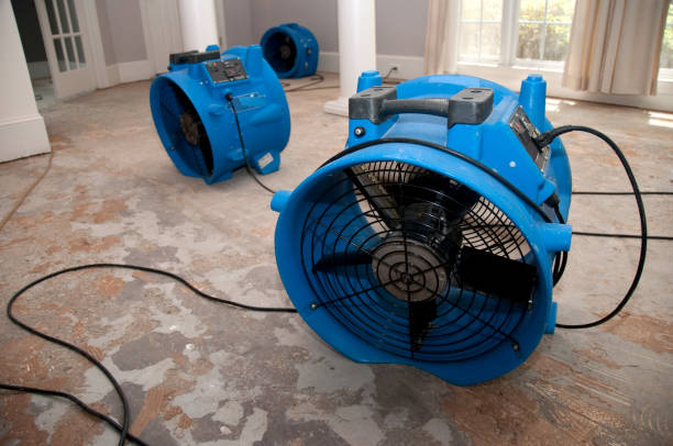 Best Water damage cleanup near me  in Tuckerton, NJ