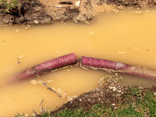 Best Local water damage restoration  in Tuckerton, NJ