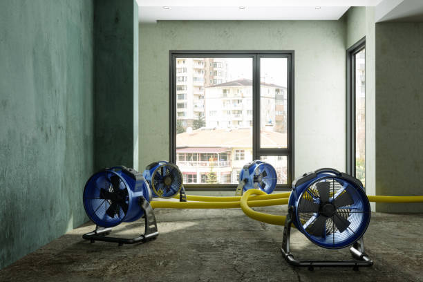 Best Water damage restoration near me  in Tuckerton, NJ